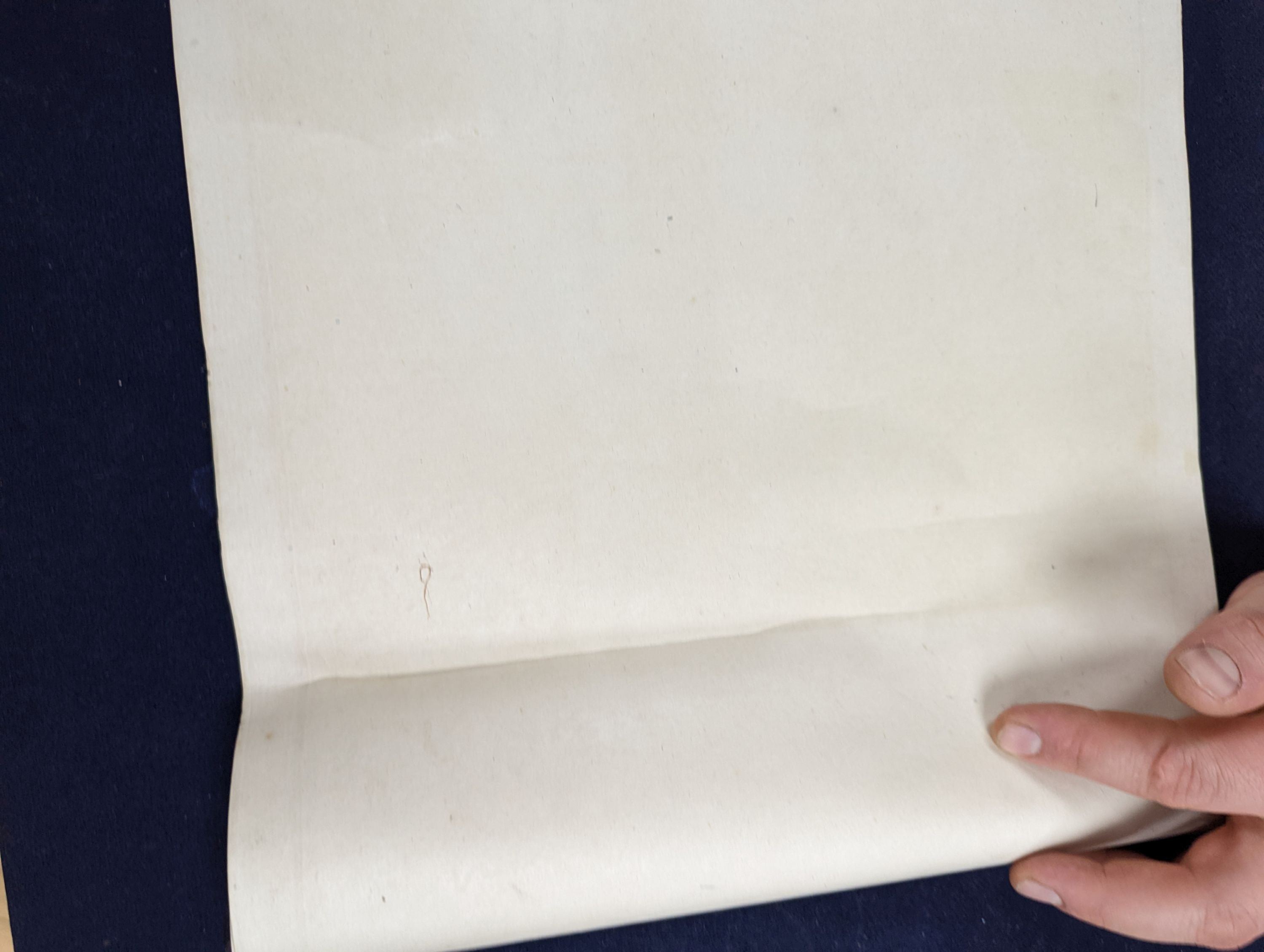 A pair of Chinese scrolls, watercolour on paper, late 19th/early 20th century, image cm x cm